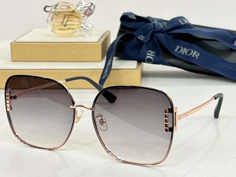 DIOR Sunglasses 104